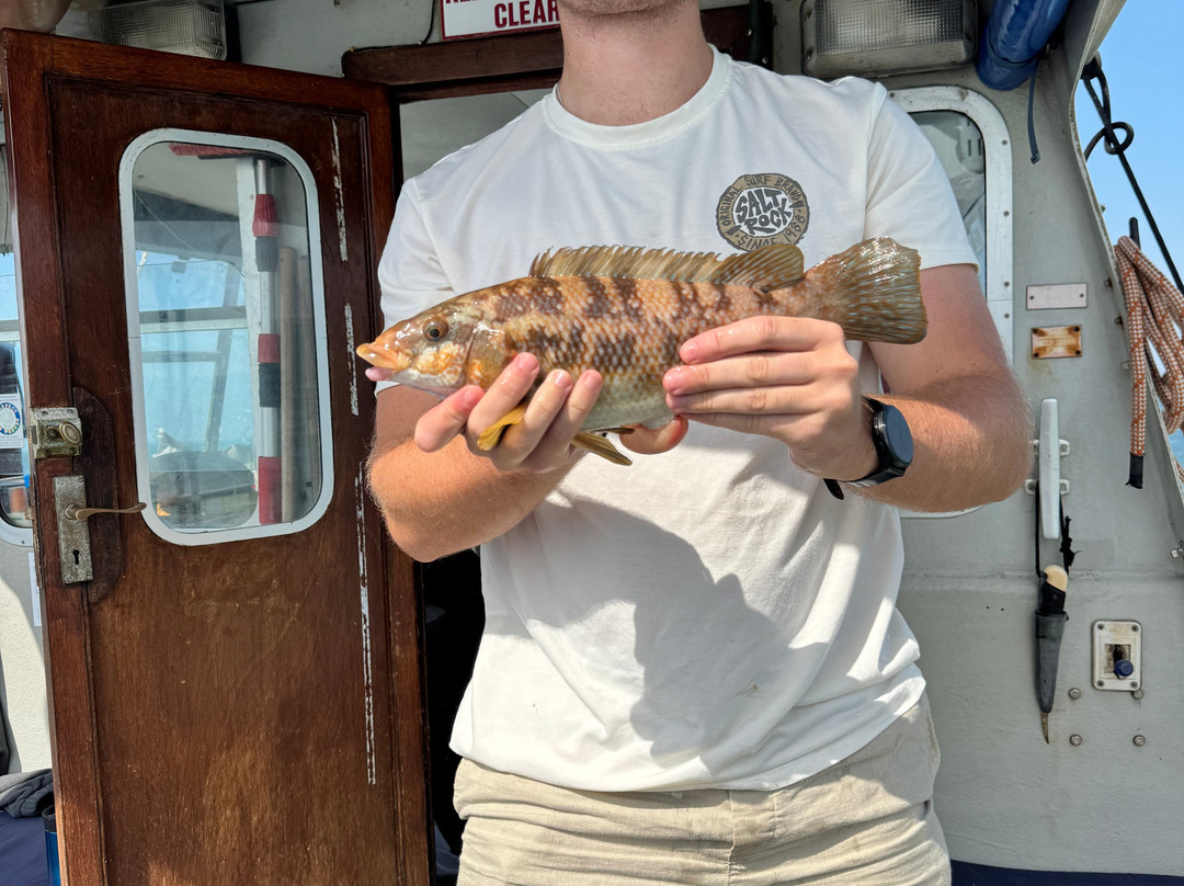 Sussex Sea Charters-West Itchenor必去景点