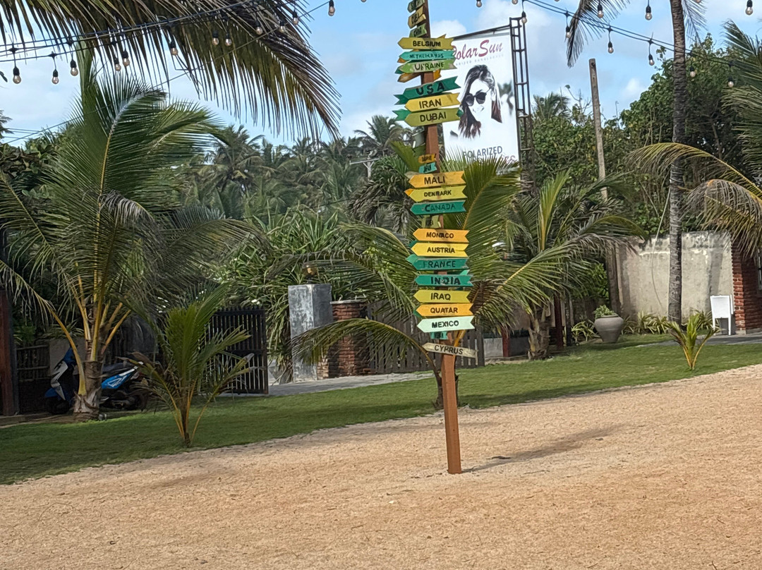 The South Beach主图