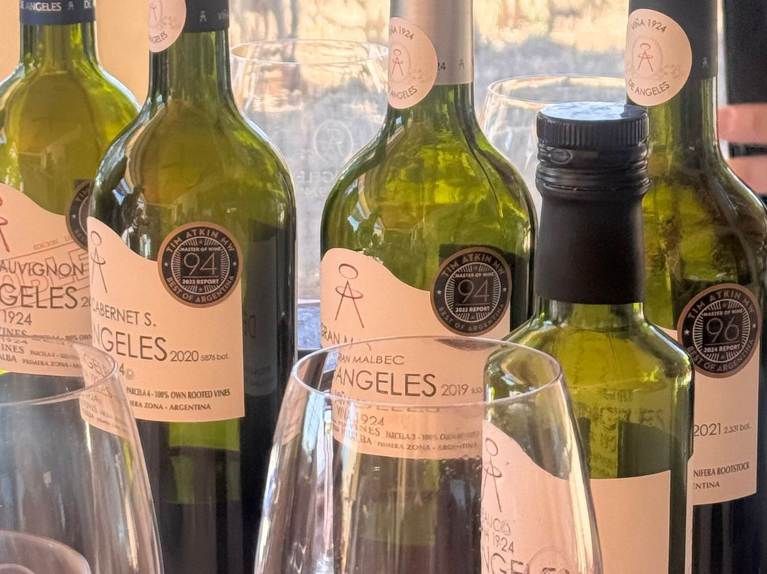 Bodega De Angeles Viña 1924-路冉得库约必去景点