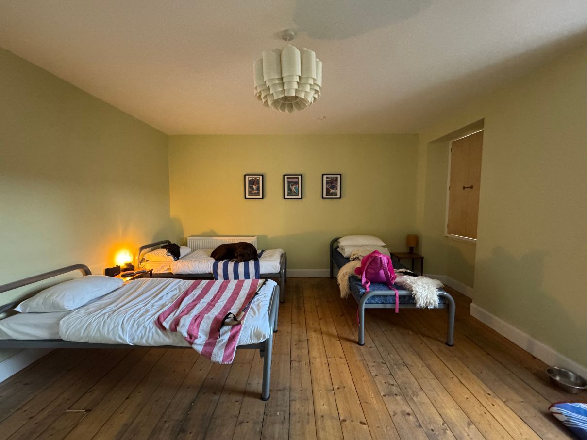 The Dolphin Inn Hostel-旅行者