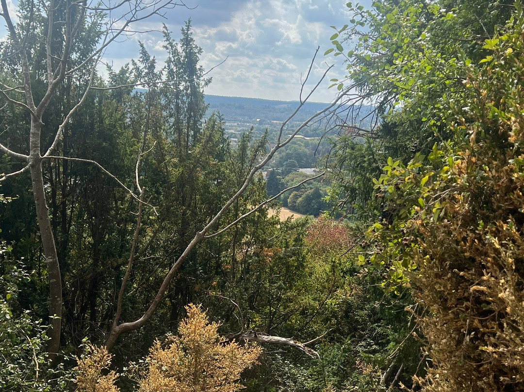 Box Hill-多肯必去景点