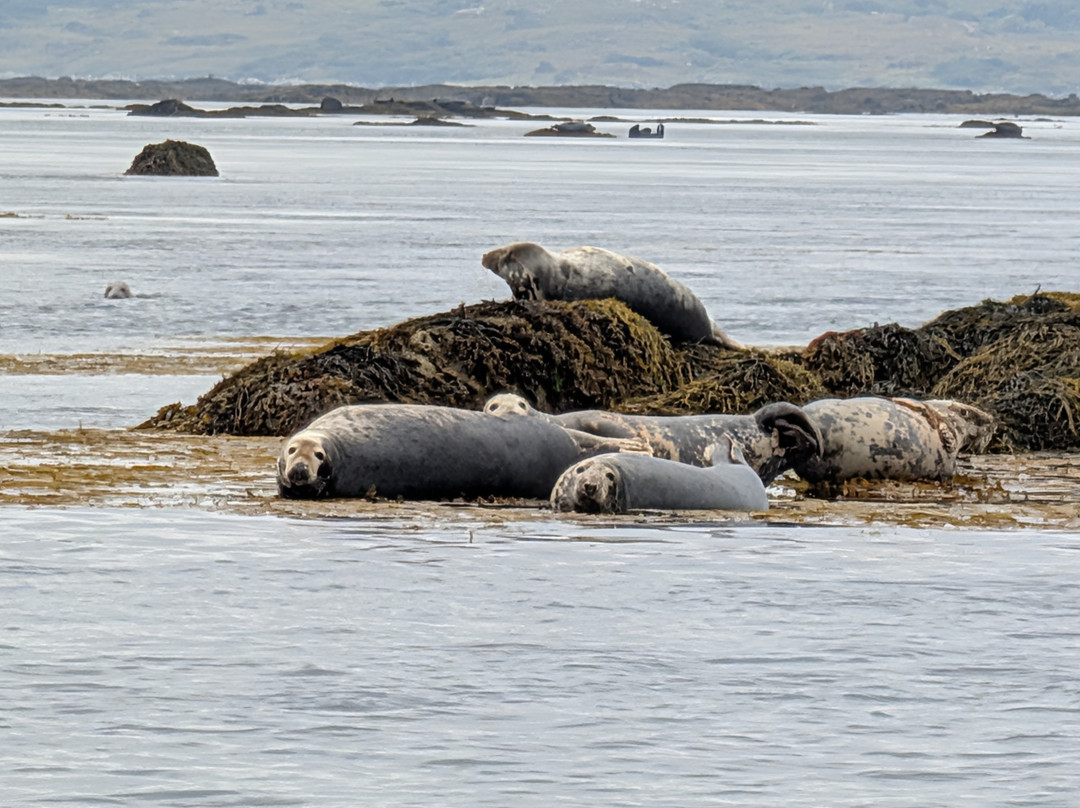 Donegal Sea Adventure-Burtonport必去景点