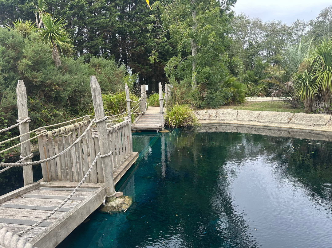 Jungle Paradise and Oceans Paradise Adventure Golf-奇切斯特必去景点