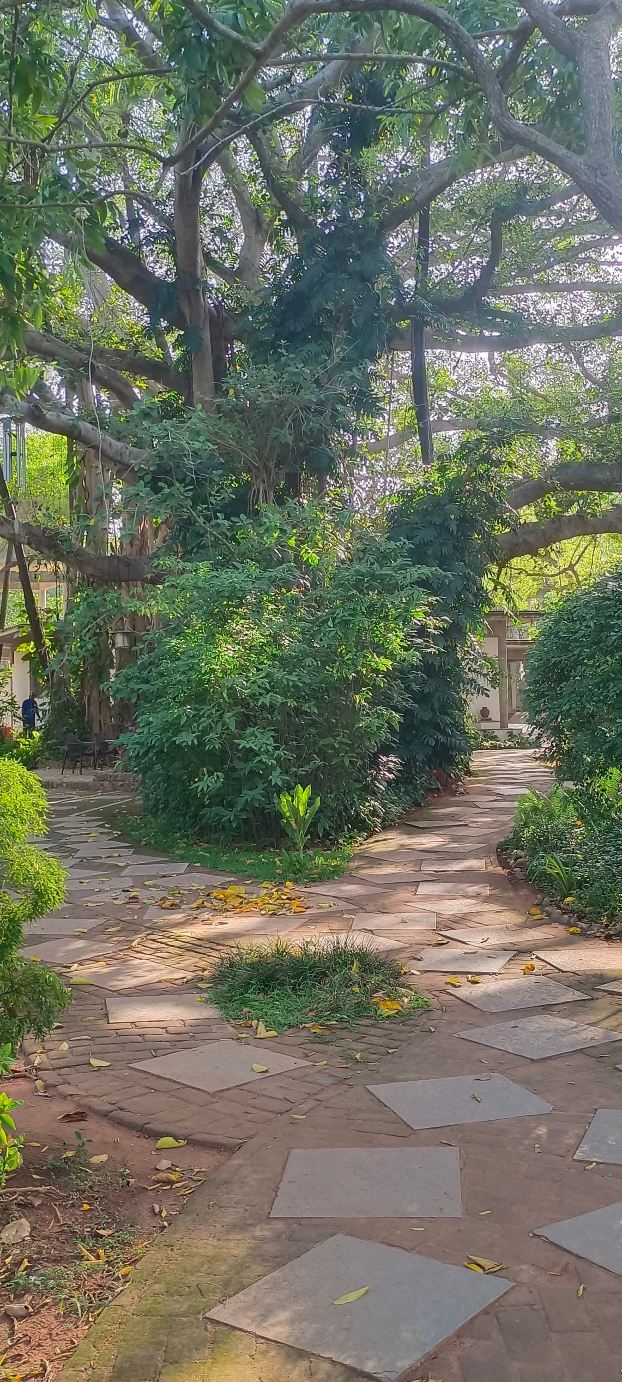 Center Guesthouse-旅行者
