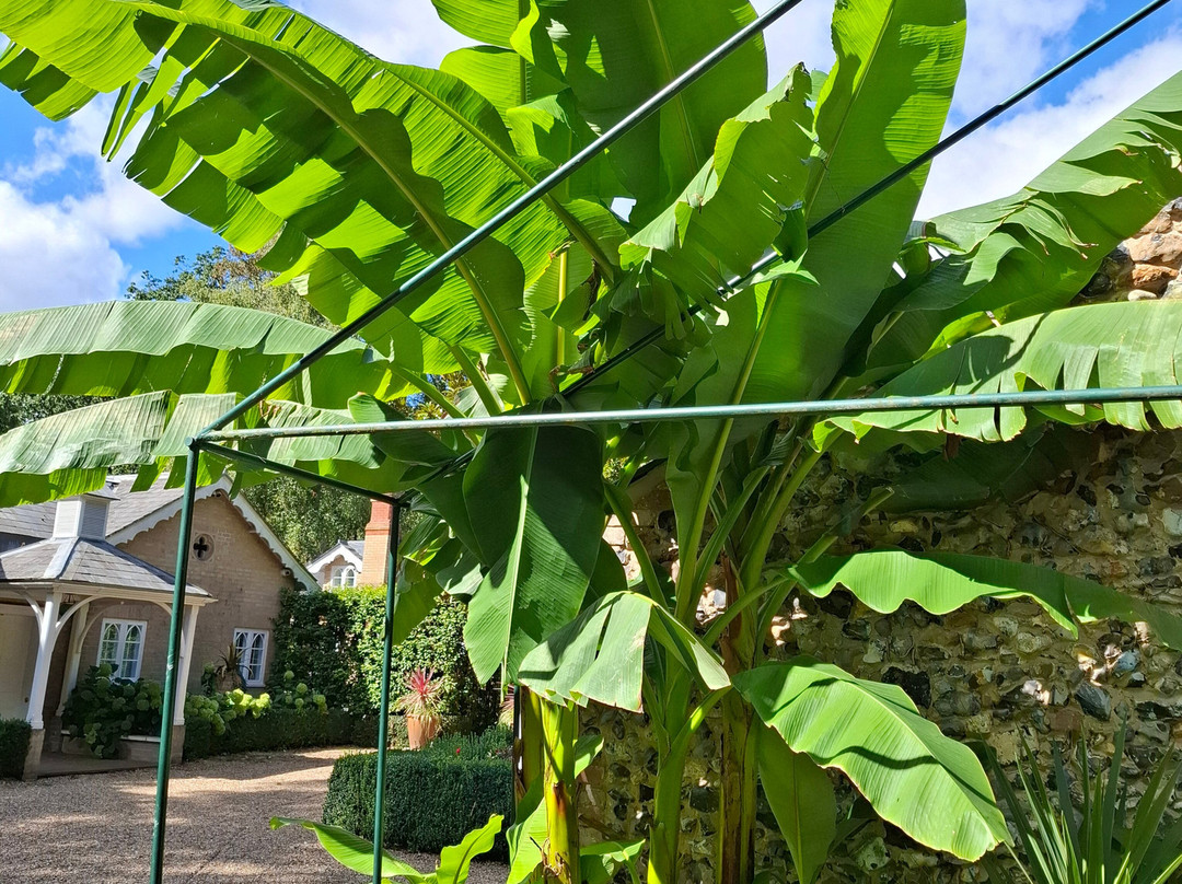 Porters Lodge Garden & Tearoom-Cavenham必去景点