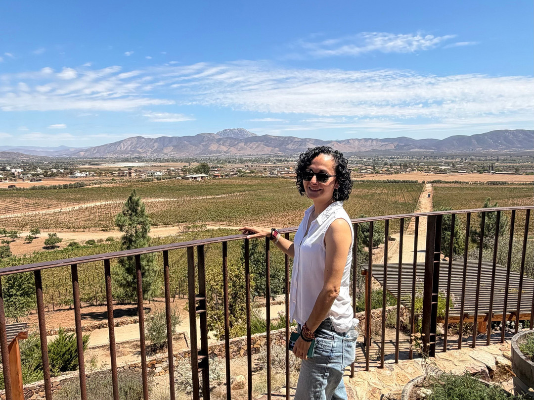 Las Nubes Bodegas y Viñedos-Valle de Guadalupe必去景点
