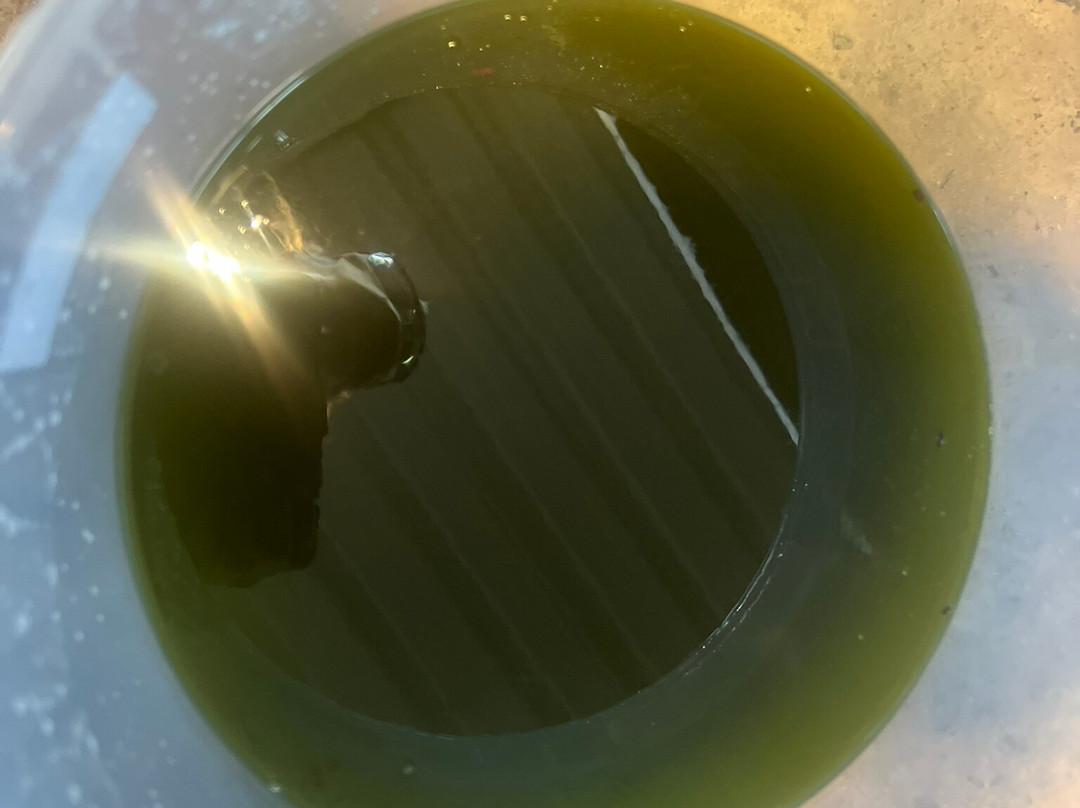 Merkado Olive Retreat-Colos必去景点