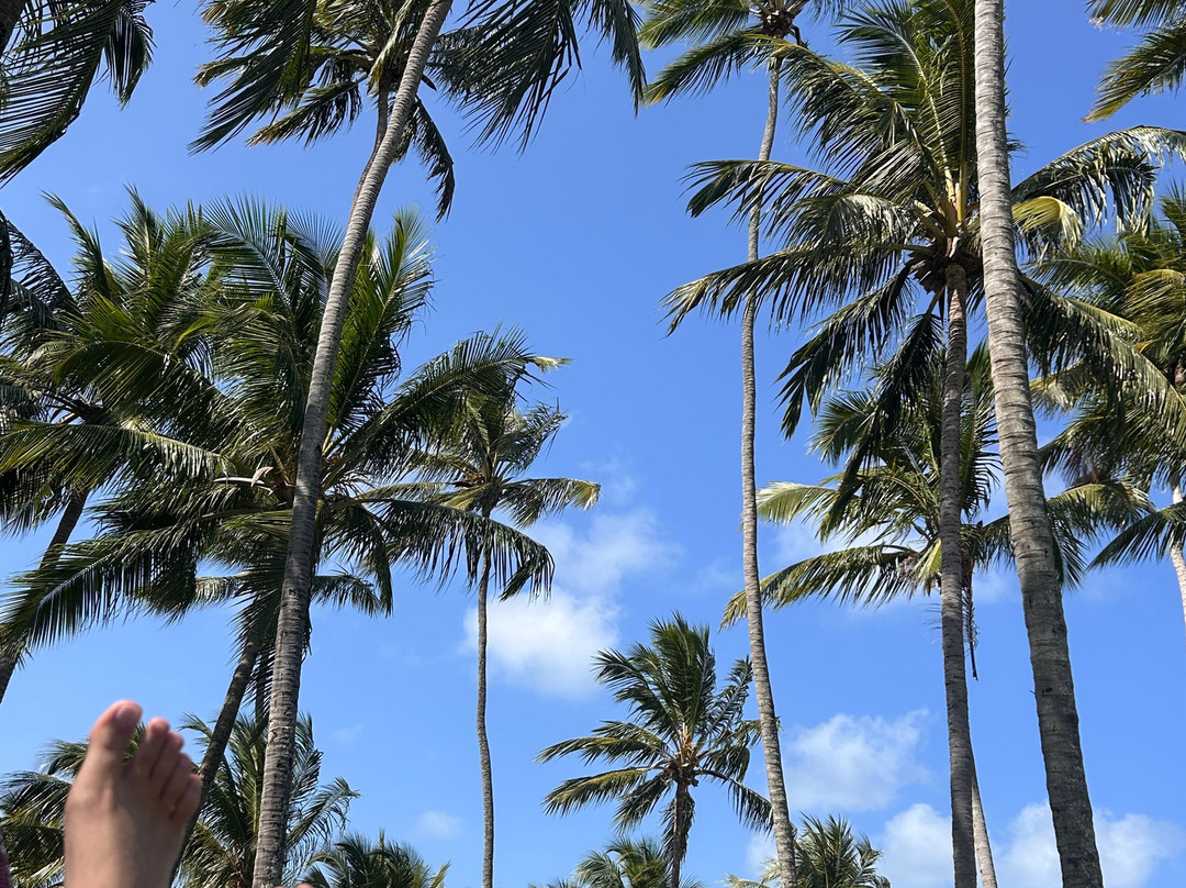 Vila Galé Cabo – 全包主图