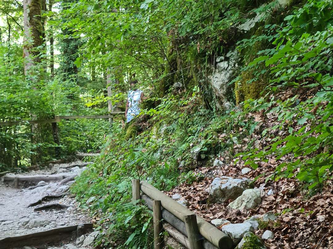 Gorges du Pont du Diable-La Vernaz必去景点