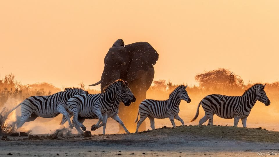 Makgadikgadi Salt Pan-Makgadikgadi Pans National Park必去景点