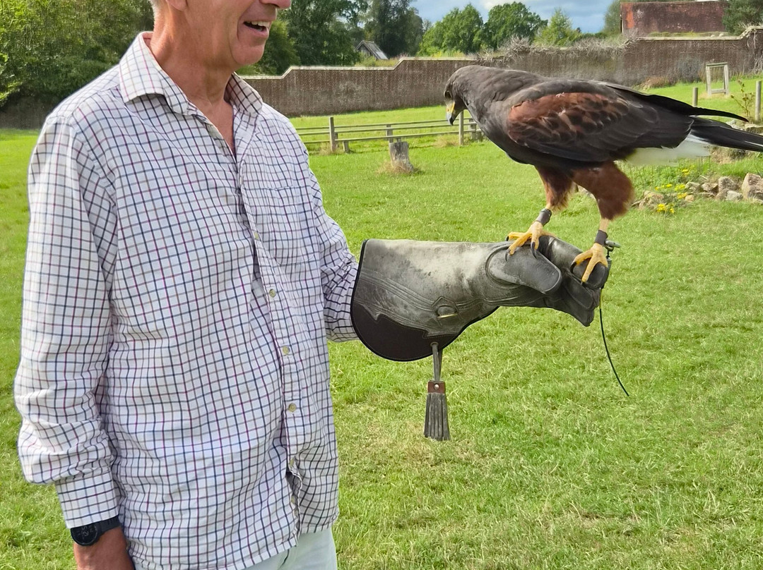 UK Owl And Raptor Centre-Groombridge必去景点