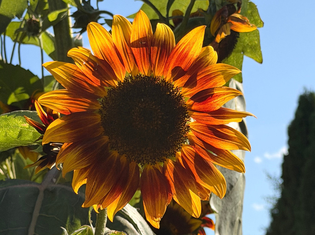 The Garden Door-斯特金贝必去景点