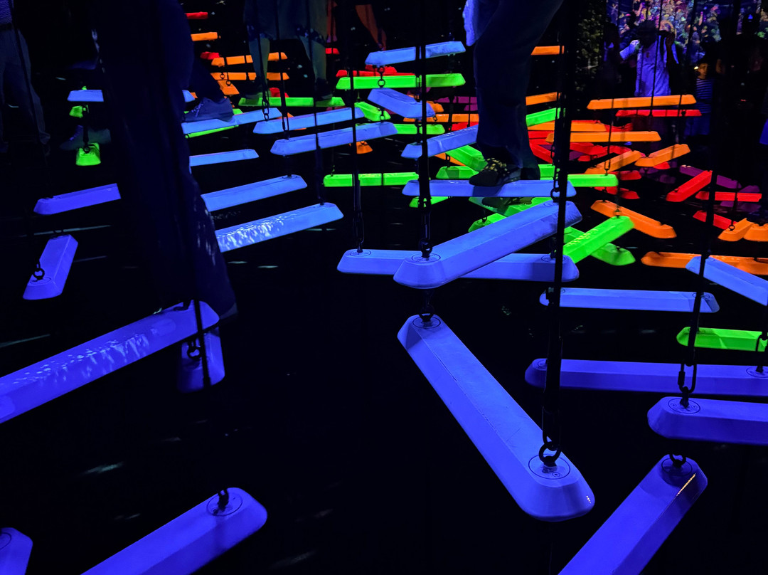 teamLab Planets TOKYO-Toyosu必去景点