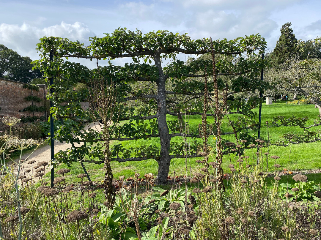 Clumber Park-沃克索普必去景点