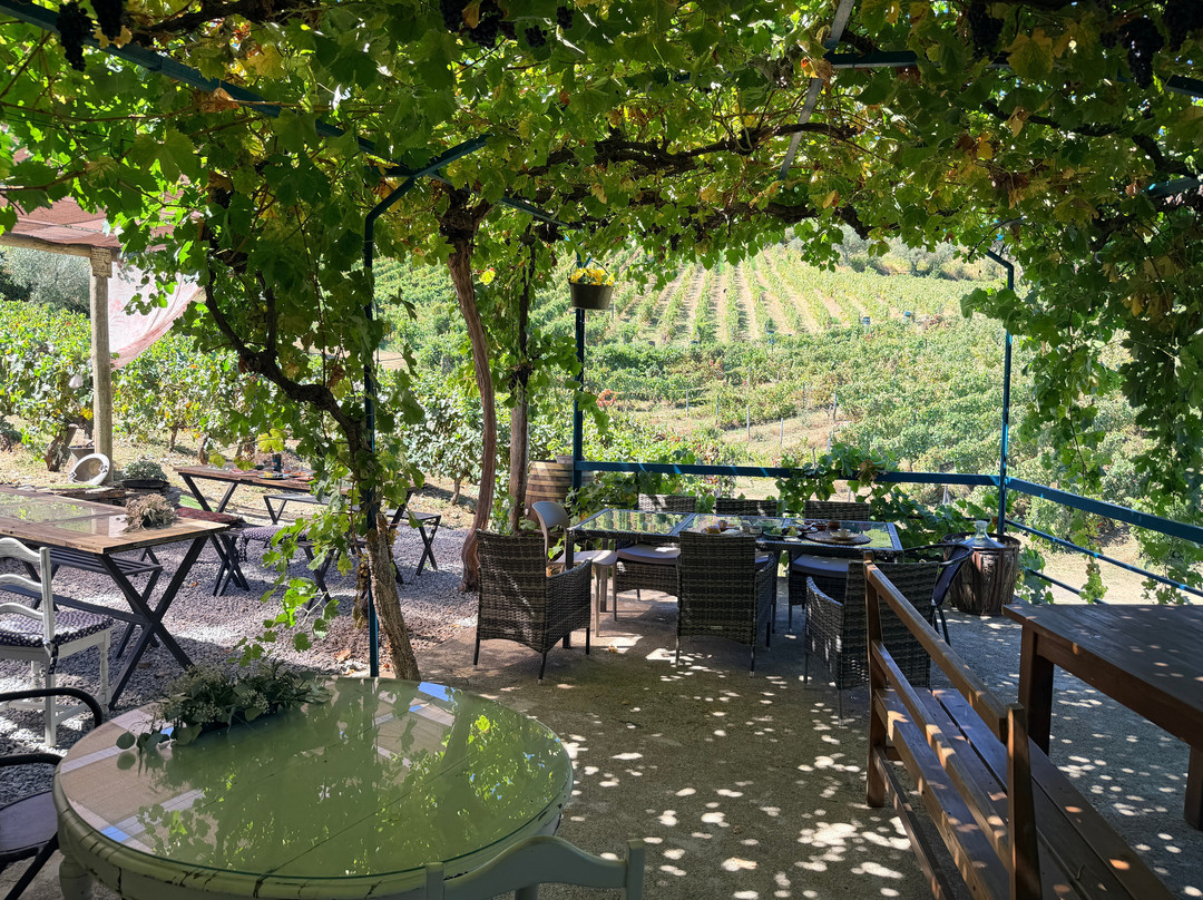 Quinta da Fonte do Milho-Provesende必去景点