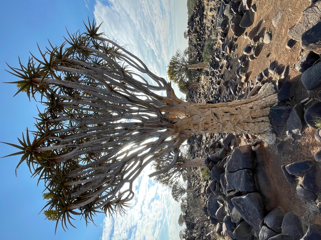 Garas Park Camp-Keetmanshoop必去景点