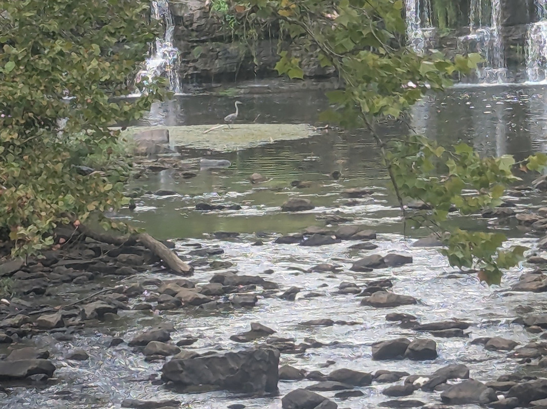 Sandstone Falls-Sandstone必去景点