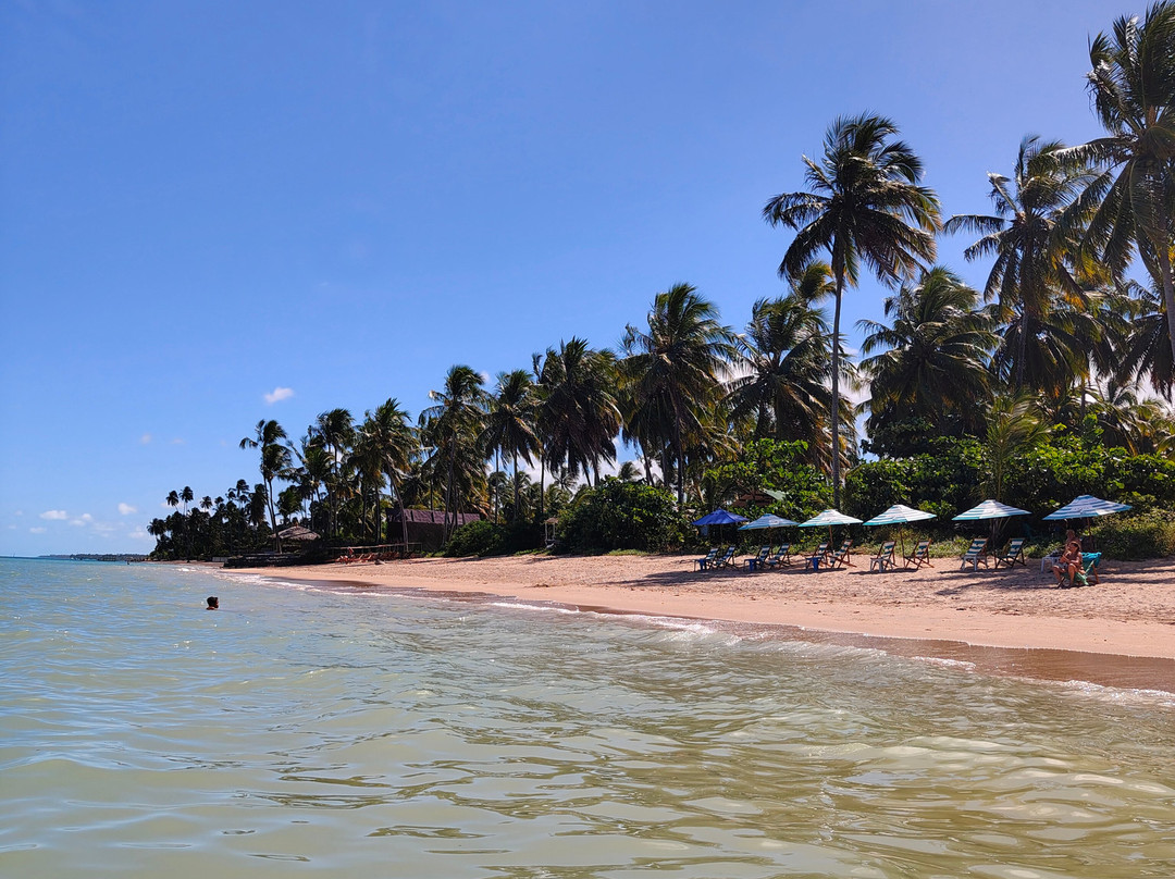 Passeios praias da rota ecológica dos milagres-Porto de Pedras必去景点