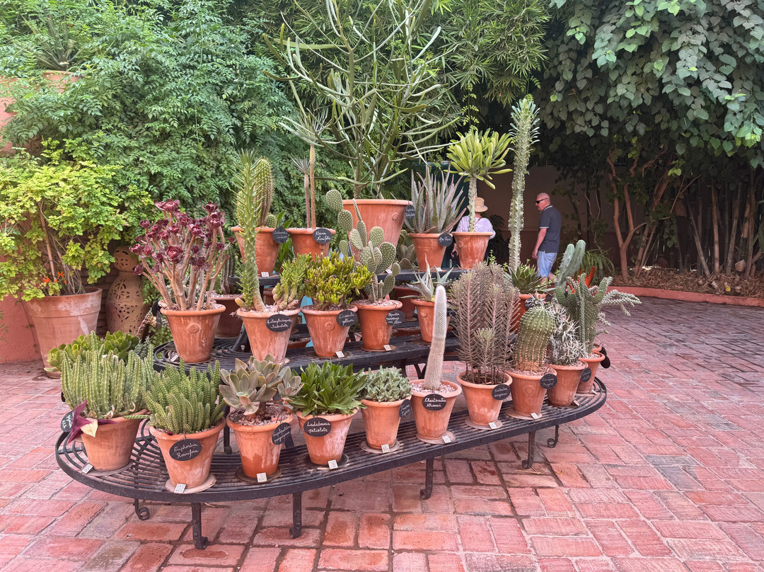 Marrakech-Safi旅游景点-马若雷勒花园
