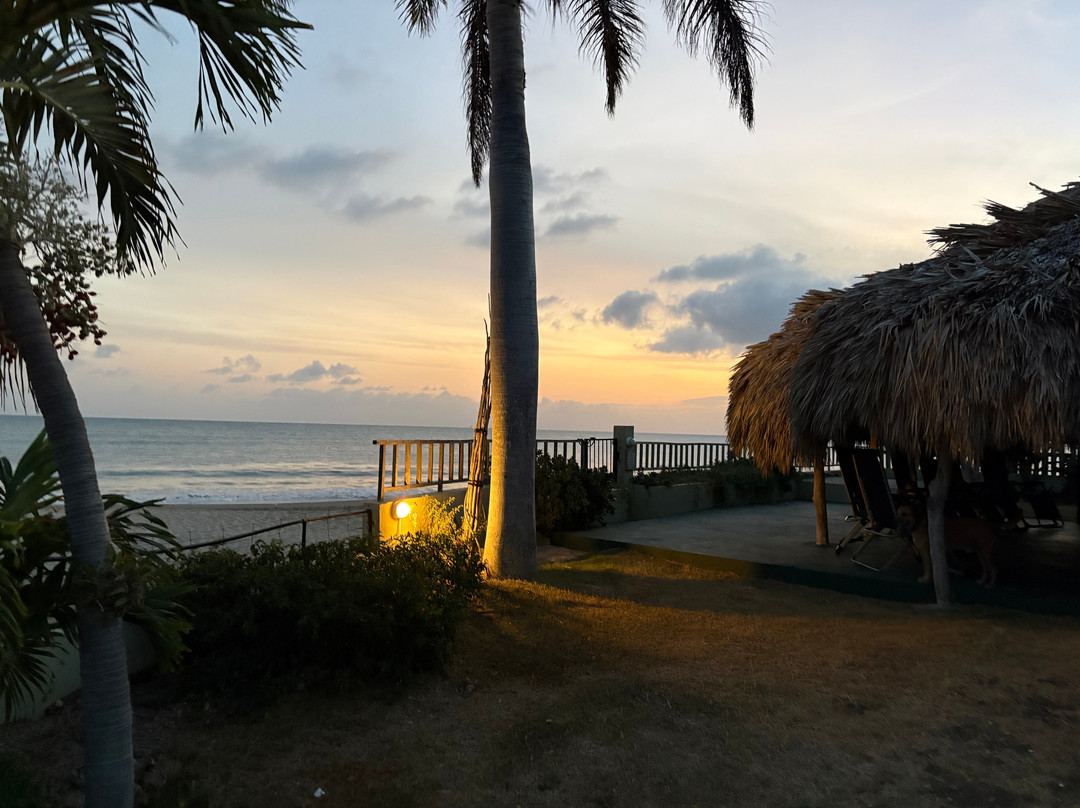 MycoMeditations Psilocybin-Assisted Retreats-瑰宝滩必去景点