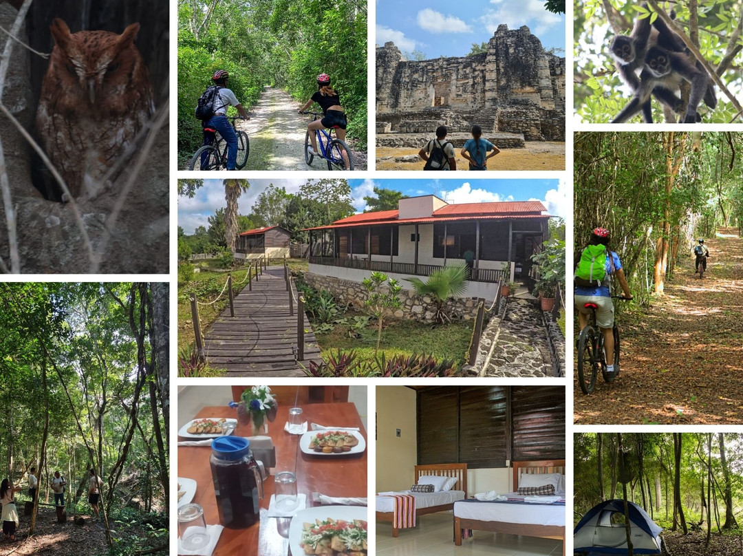 Visit Calakmul-Xpujil Town必去景点