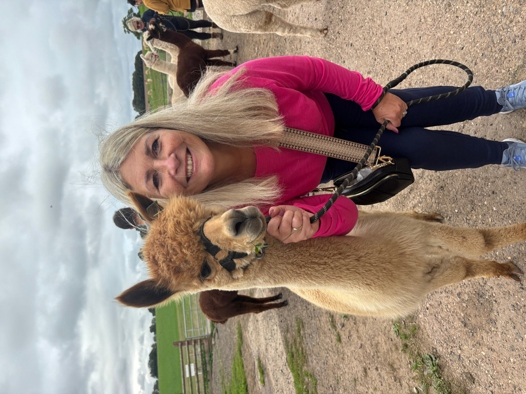 Charnwood Forest Alpacas-Boundary必去景点