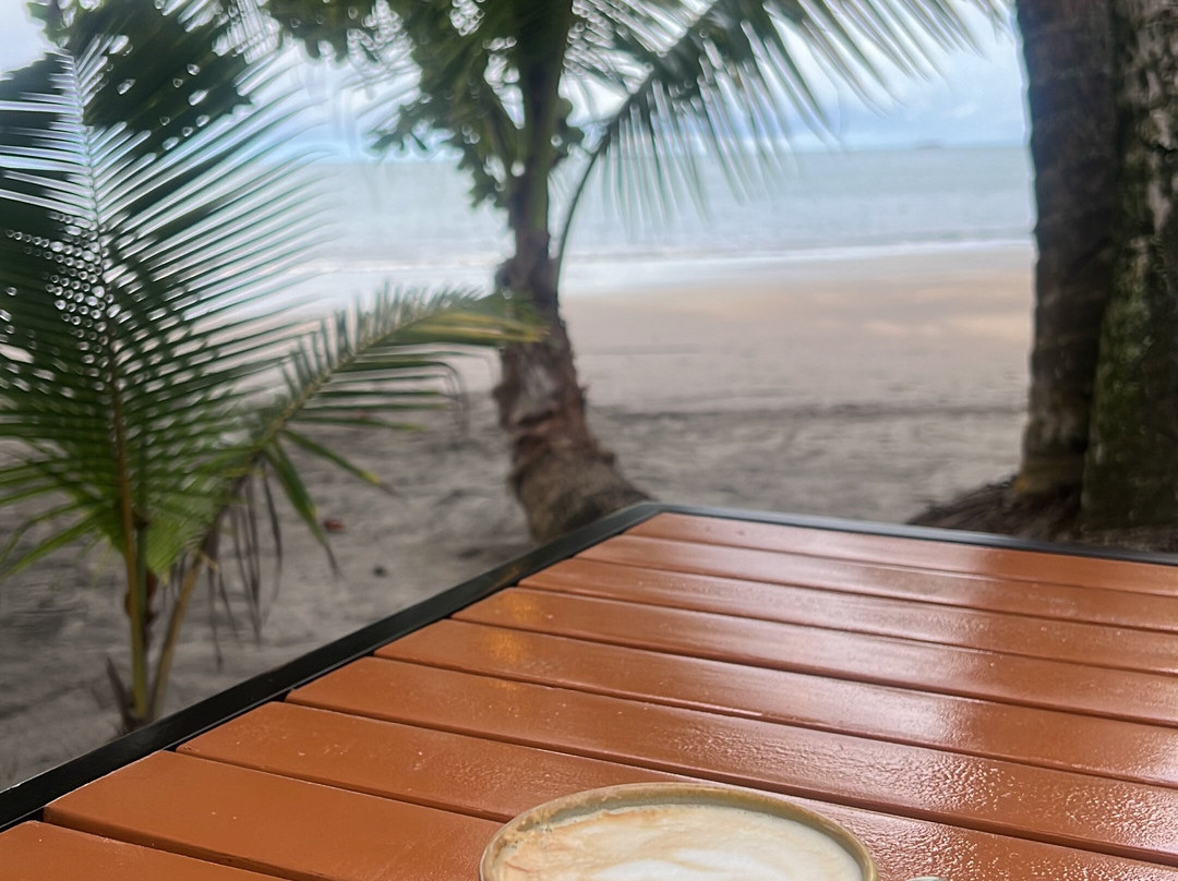 Isla Palenque Cayuga收藏成员主图