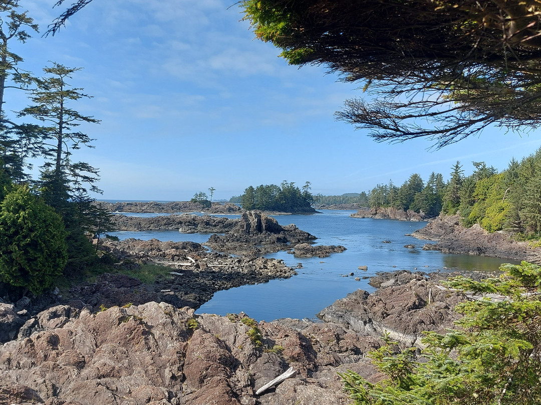 Wild Pacific Trail-尤克卢利特必去景点