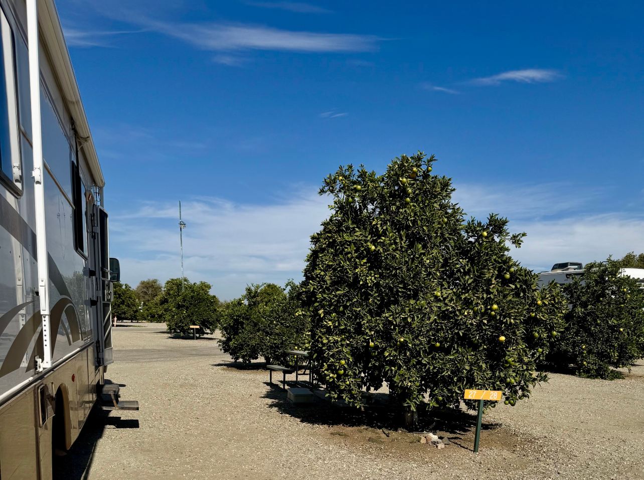 Orange Grove RV Park-旅行者
