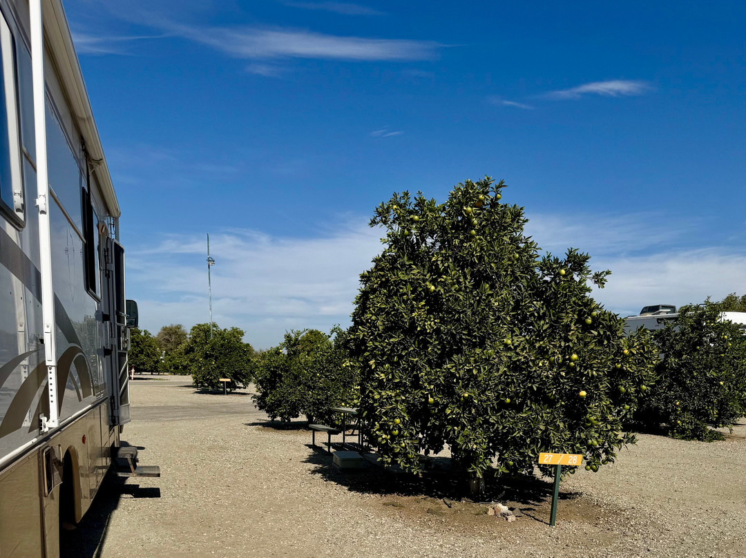 Orange Grove RV Park主图