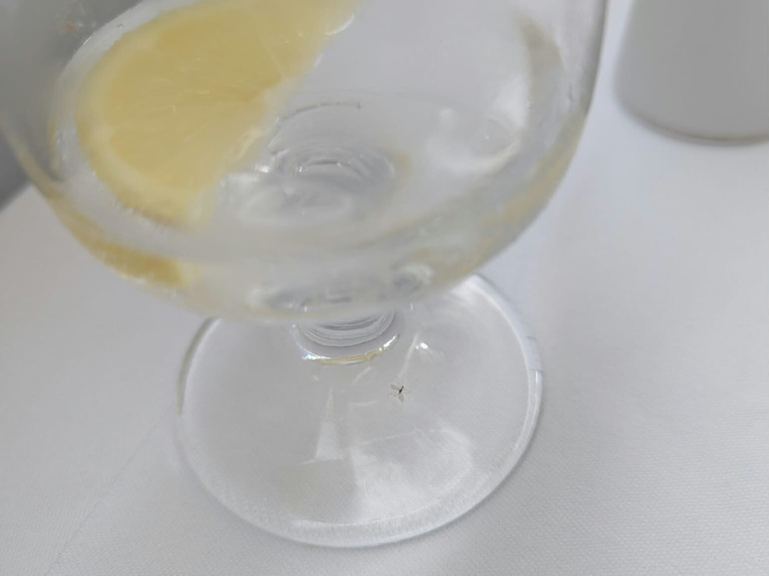 米茨斯夏宫酒店主图