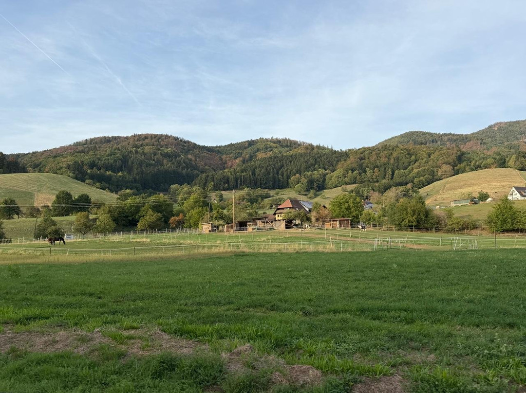 Schlossmühle Glottertal主图