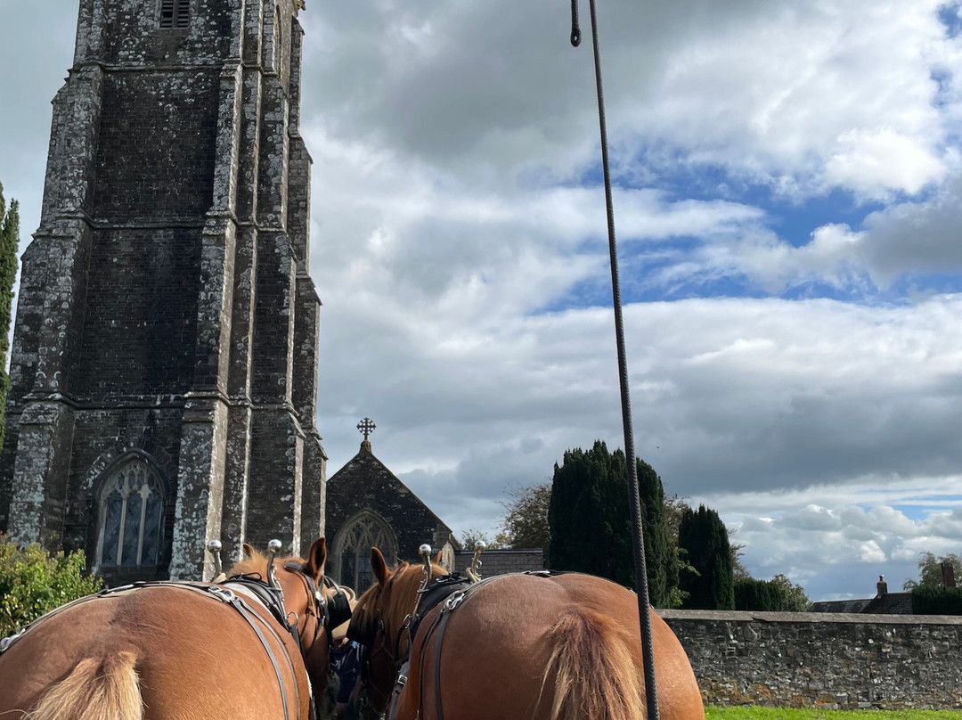 Middle Week Horse Drawn Farm-Ash Mill必去景点