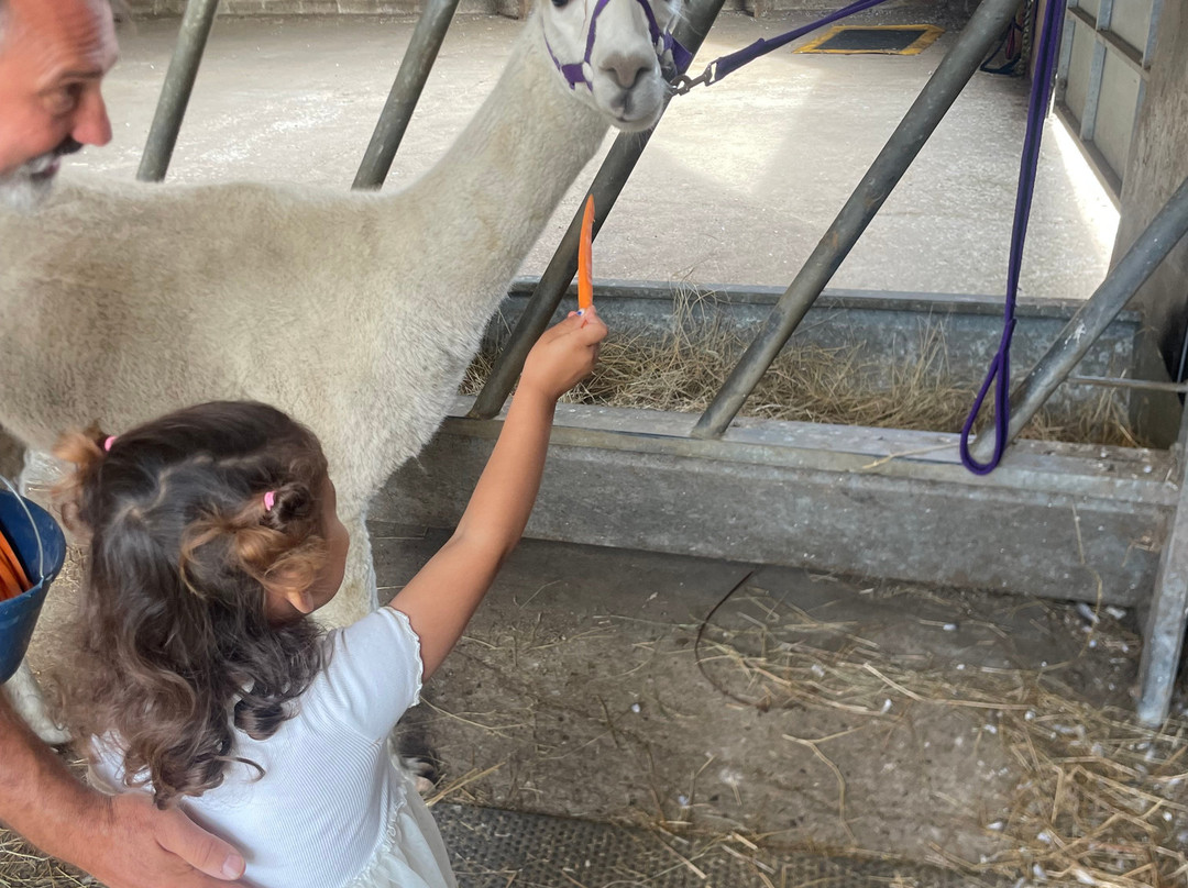 Botany Bay Farm