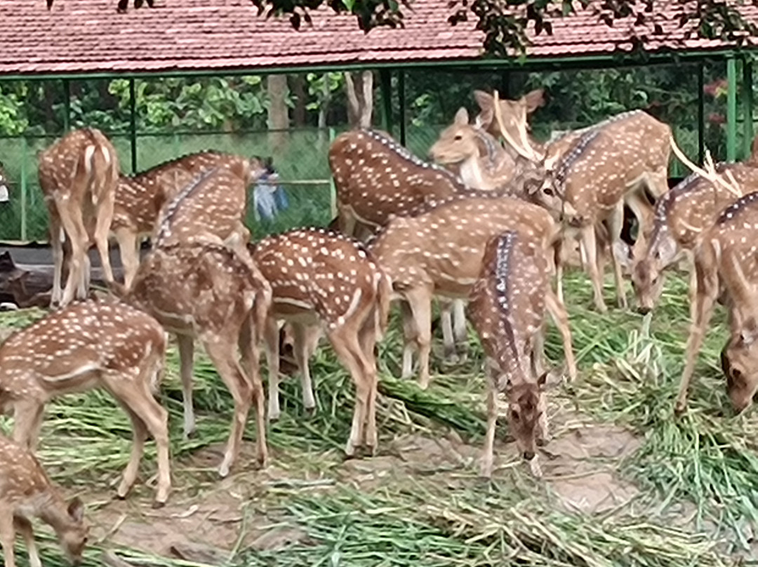 Birsa Zoological Park-兰契必去景点