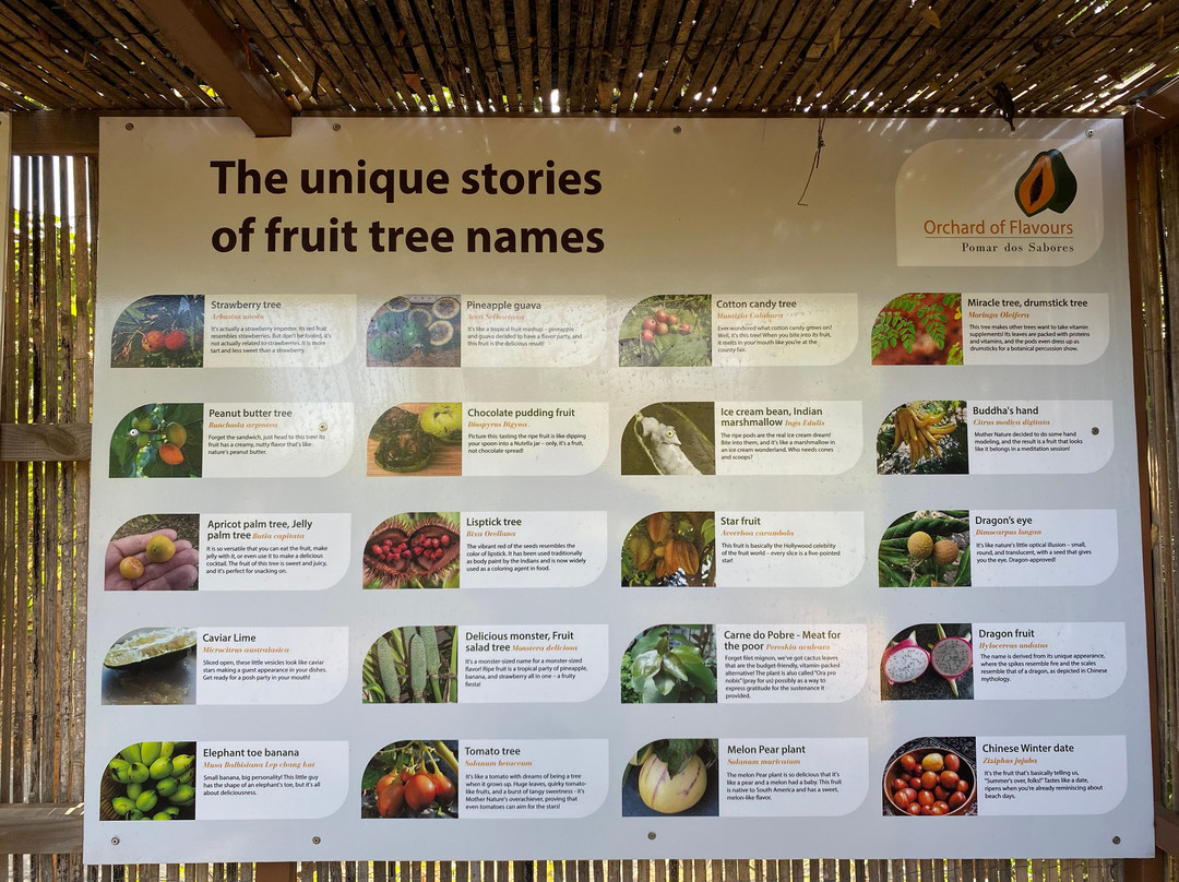 Orchard Of Flavours Botanical Garden-Luz de Tavira必去景点