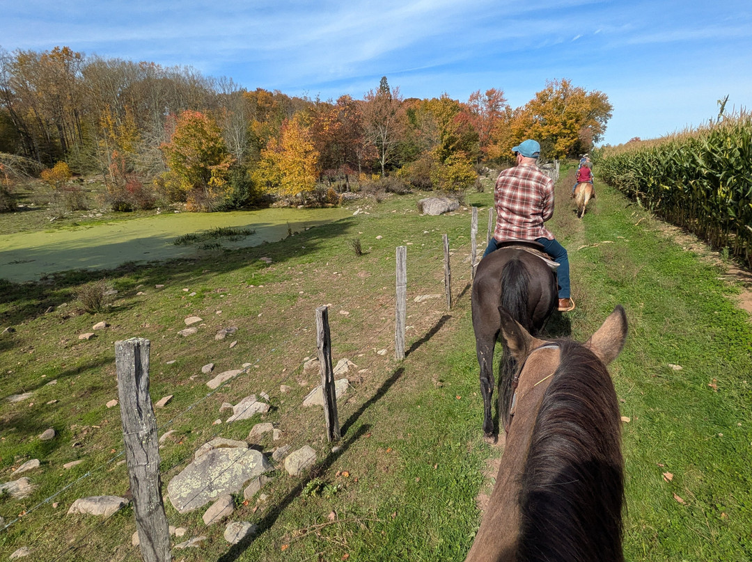 Why-Not Riding Stable-Lake Ariel必去景点