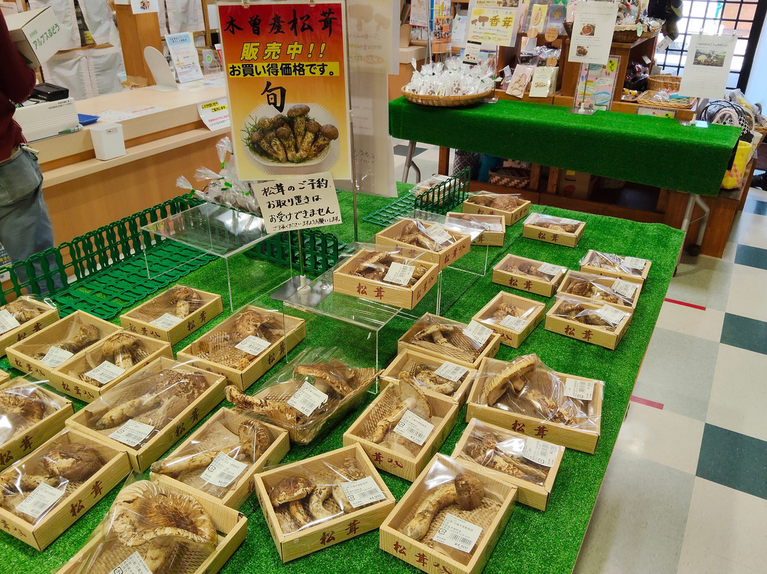 Michi no Eki Hiyoshi Kisokomakogen Sasarindokan-木曾町必去景点