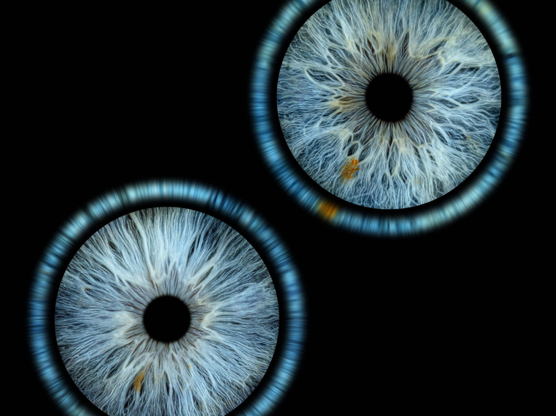 Iris Galerie Arnhem