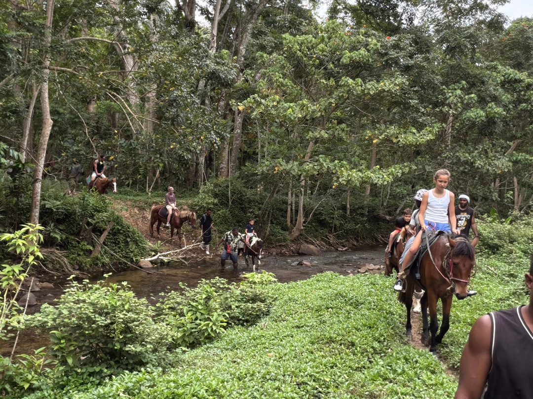 Maui Bay Horse Riding Adventure-苏瓦必去景点