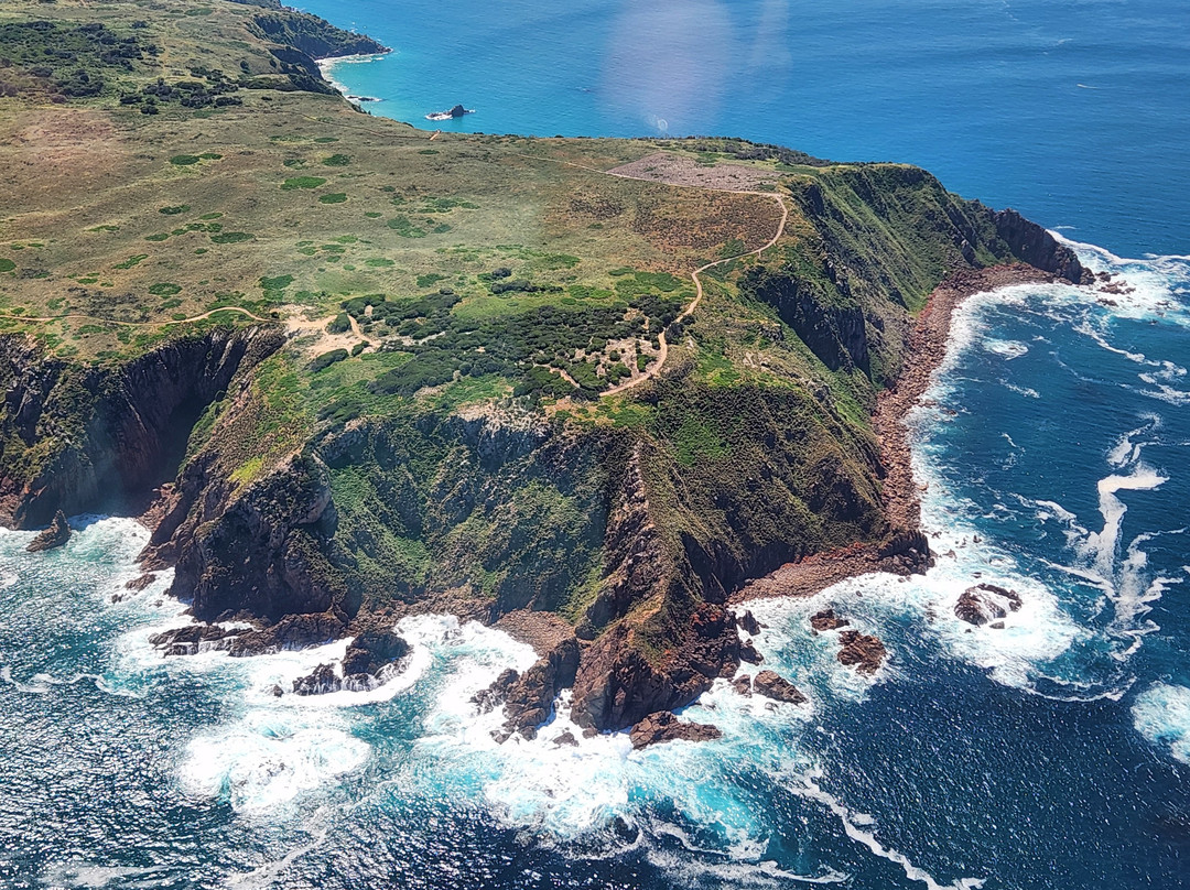 Phillip island helicopter tours-Newhaven必去景点