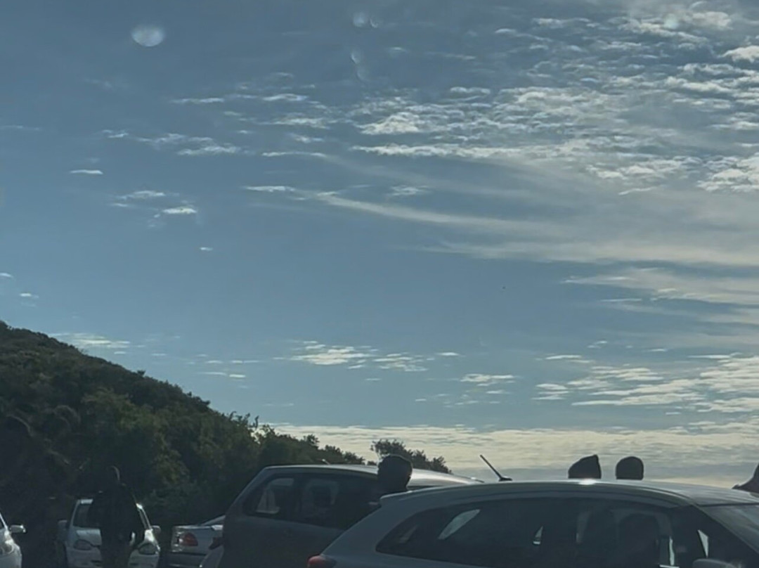 Chapman's Peak Drive-开普敦中心区必去景点