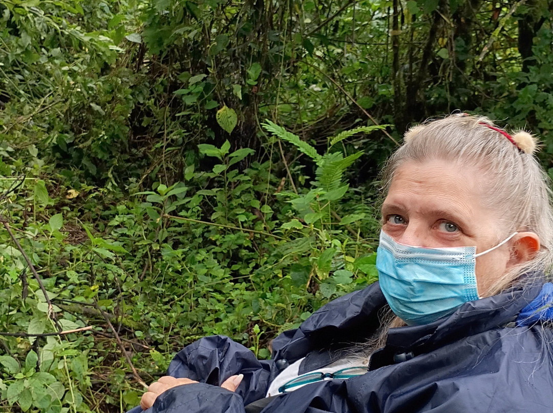 Bwindi Impenetrable Forest-Western Region必去景点