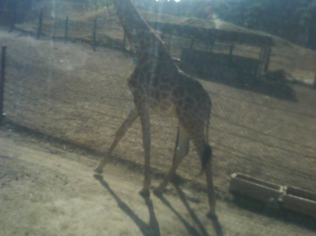 调兵山市旅游景点-沈阳森林公园