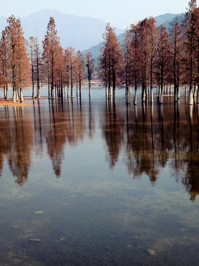 黄山黟县奇墅湖-黟县必去景点