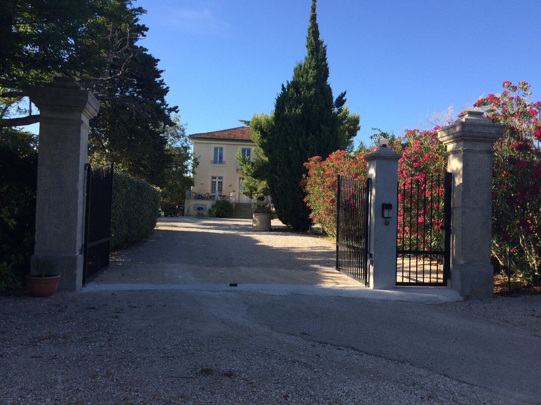 Sainte-Cecile-les-Vignes旅游攻略图片