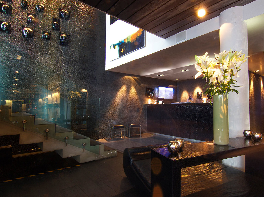 辛霍特中心酒店