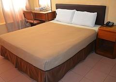 White House Hotel-客卧