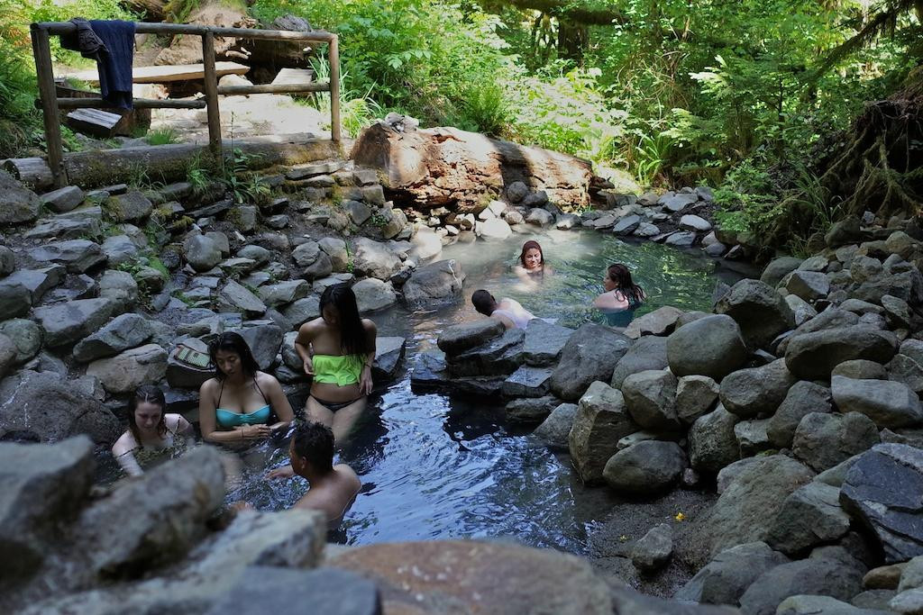 Terwilliger Hot Springs景点图片