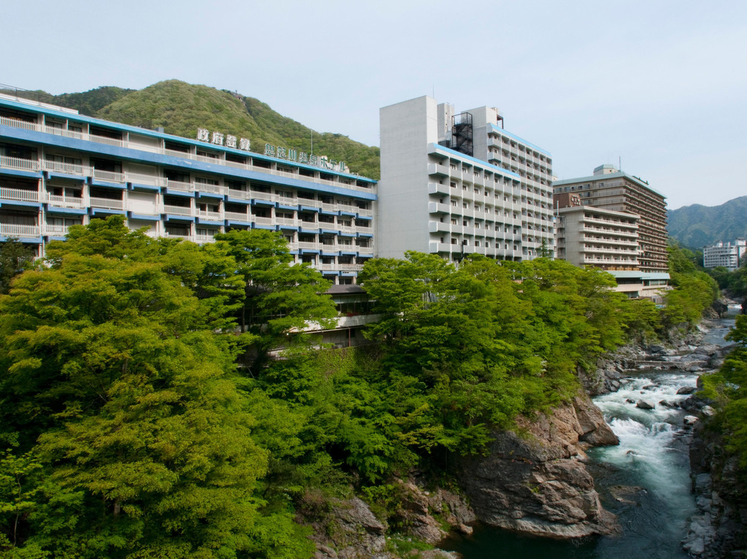 日光市酒店住宿-鬼怒川温泉酒店